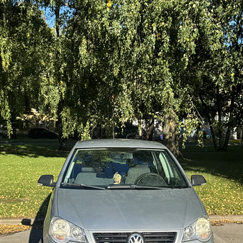 Müün Volkswagen Polo