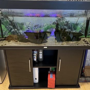 Akvaarium 240 liitrit JUWEL