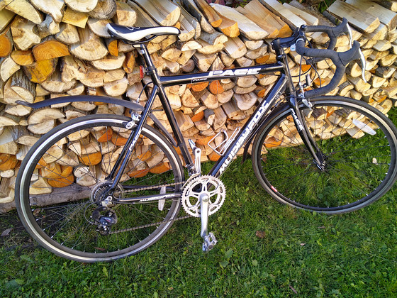Jalgratas muddyfox pace 1.0