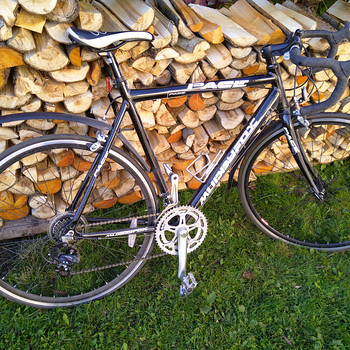 Jalgratas muddyfox pace 1.0