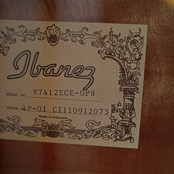 2-струнная электроакустическая гитара Ibanez V7412ECE-OPN