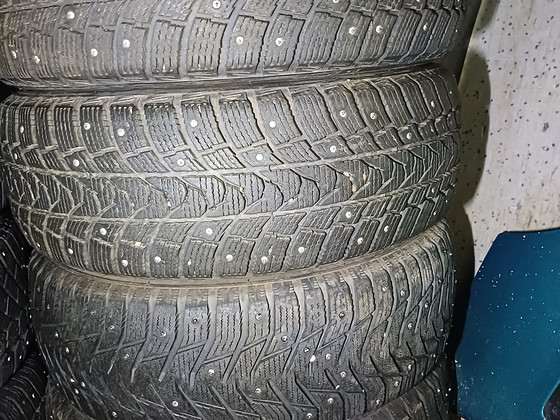 Naelrehvid minerva 16"