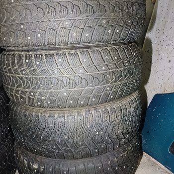 Naelrehvid minerva 16"
