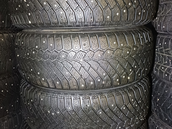 Naelrehvid continental 16"