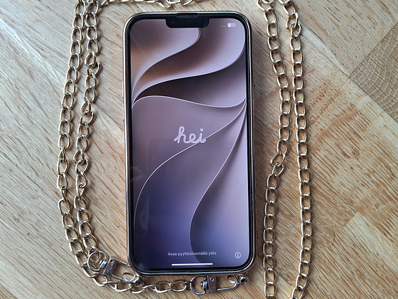iPhone 13 pro max 256GB