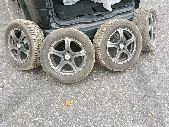 Talverehvid valuvelgedel