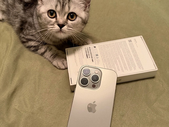iPhone 16 Pro 256GB Natural Titanium