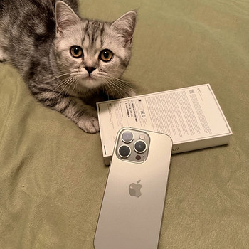 iPhone 16 Pro 256GB Natural Titanium