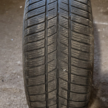 Talverehvid Barum Polaris 5 XL