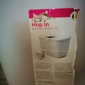 Kassitualett