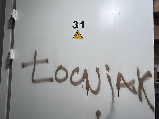 Металлическая дверь