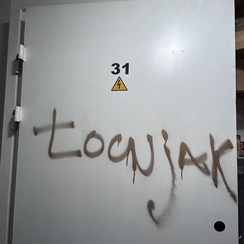 Металлическая дверь