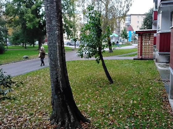 Karjamaa tn 6-33, Põhja-Tallinn, Tallinn, Harjumaa