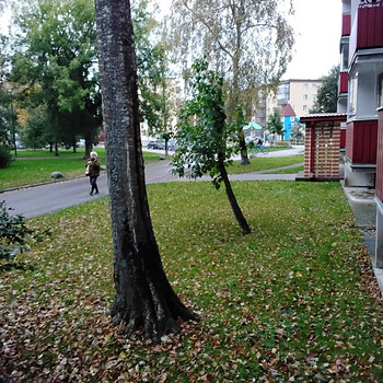 Karjamaa tn 6-33, Põhja-Tallinn, Tallinn, Harjumaa