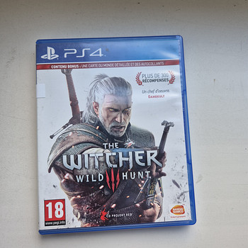 The witcher 3