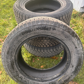 Continental naastrehvid