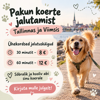 Pakun koerte jalutamist Tallinnas ja Viimsis