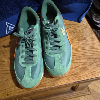 Puma tossud
