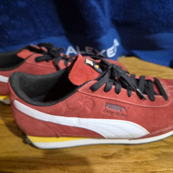 Puma tossud