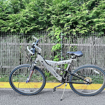 Bicycle/jalgratas