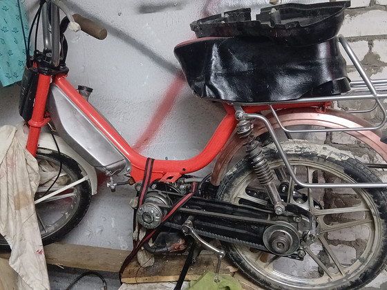 Honda Camino PA 50