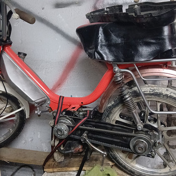 Honda camino pa 50