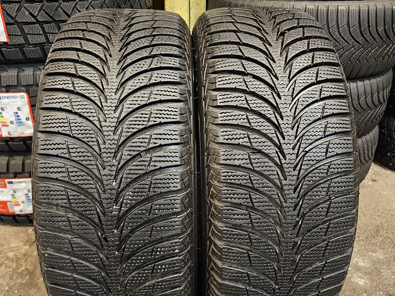 205 55 R 16 Sava Eskimo Ice
