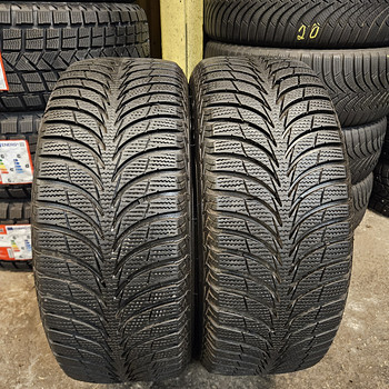 205 55 R 16 Sava Eskimo Ice