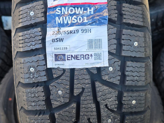 Шины R19 225 55 19 Dynamo Snow-H MWS01