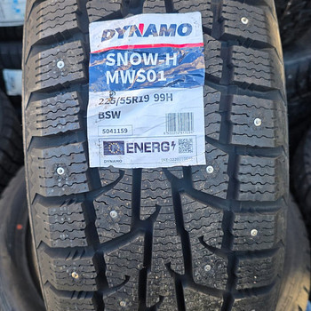 Шины R19 225 55 19 Dynamo Snow-H MWS01