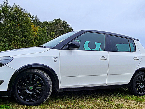 SKODA Monte Carlo