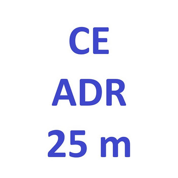 Autojuht CE