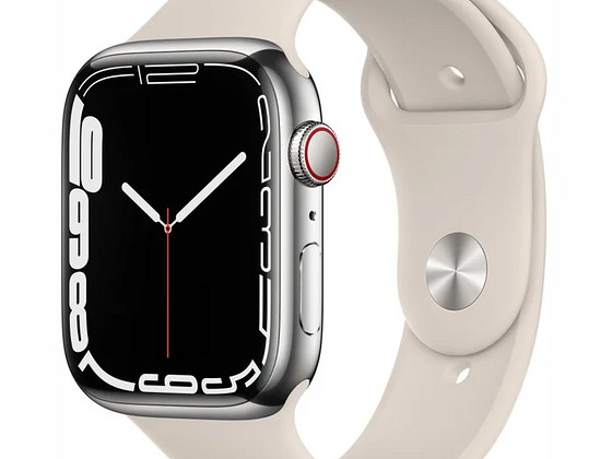 Apple Watch 7 41 mm Stainless Steel