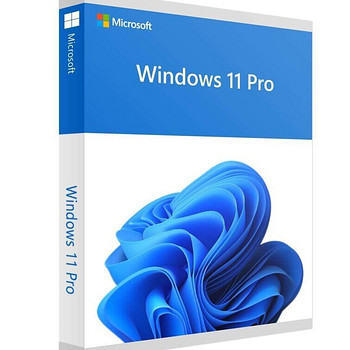 Windows 11 Pro