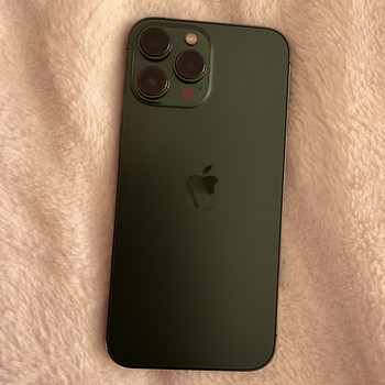 iPhone 13 Pro Max 256GB