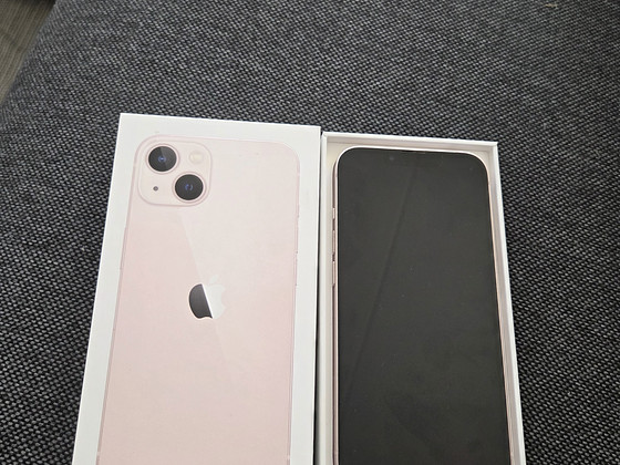 Apple 13