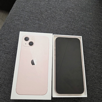 Apple 13