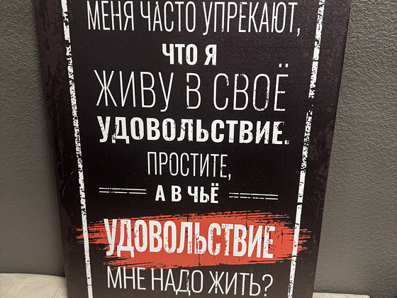 Картина «меня часто упрекают…»