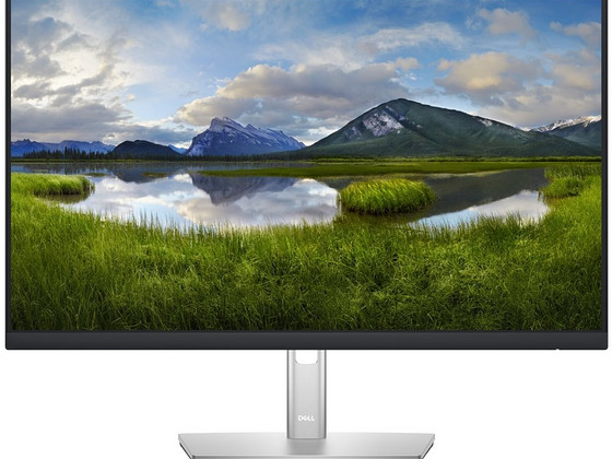 Dell Professional P2422H