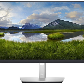 Dell Professional P2422H