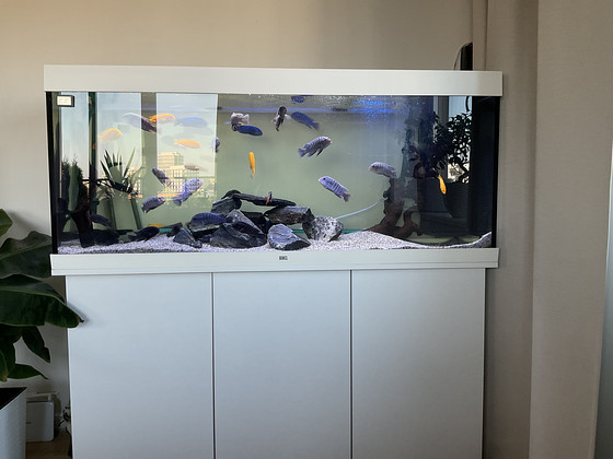 Müüa akvaarium
