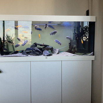 Müüa akvaarium