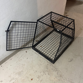 Koera Puur