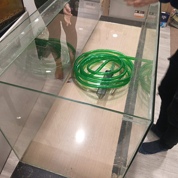 Akvaarium ja terarium