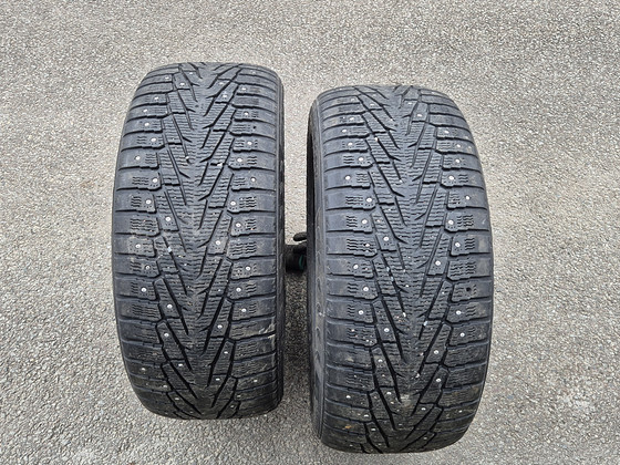 NOKIAN 255/50/19 M+S (2-tk)