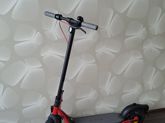 ​Электрический самокат Segway Ninebot D38E