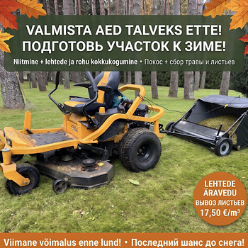 Muru niitmine ja hoovi koristamine