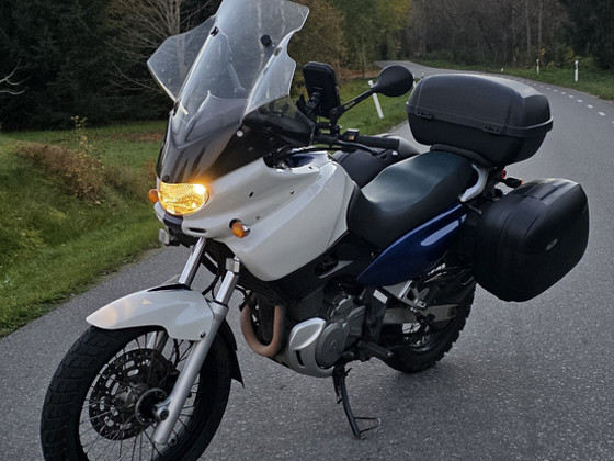 Suzuki XF650