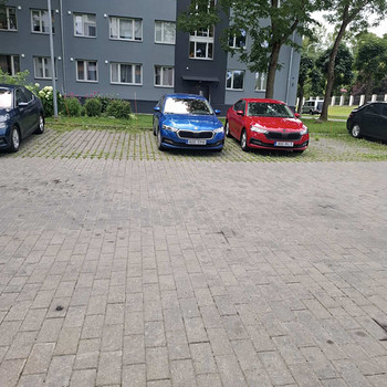 AUTORENT Uus Skoda Octavia
