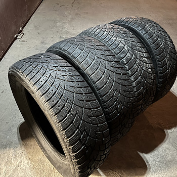 Delinte WinterWD42 225/65 R17